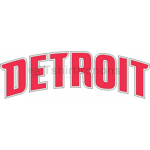 Detroit Pistons T-shirts Iron On Transfers N991